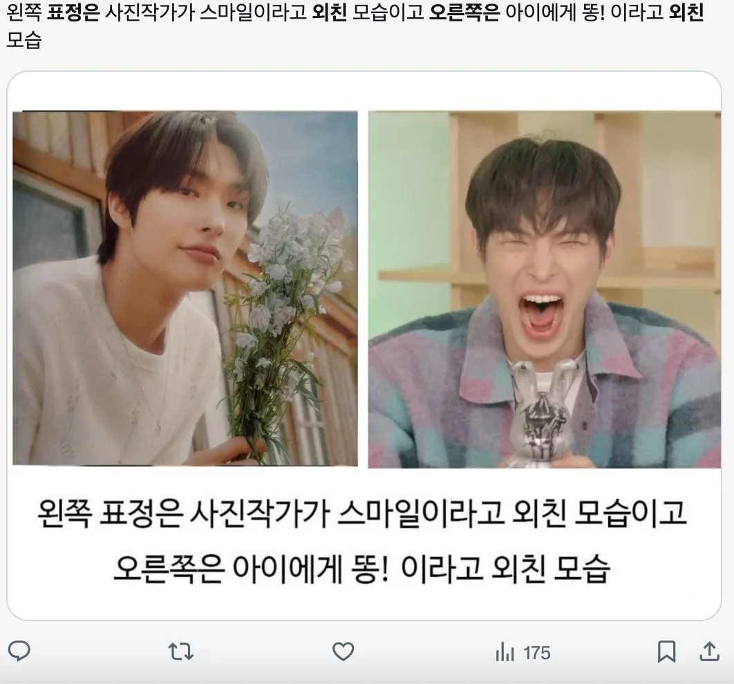 이미지 = X 캡처 (https://x.com/ppabagi_/status/1947782080810914231)