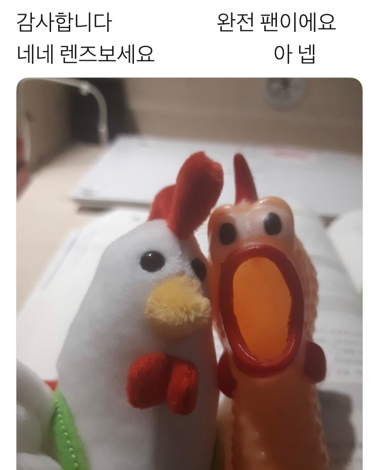 첨부 이미지