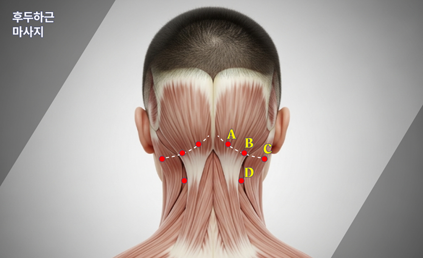 Whisk AI로 생성한 이미지