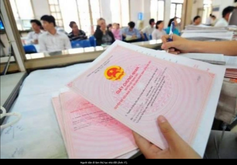 20241118(월) 베트남 읽어보기의 썸네일 이미지