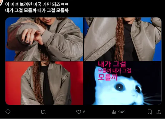 이미지 = X캡처 (https://x.com/marleelowt87804/status/1959568800782713327)