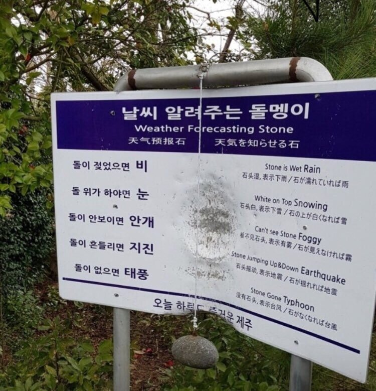 직관적인 사람들이구나 제주도 사람들은