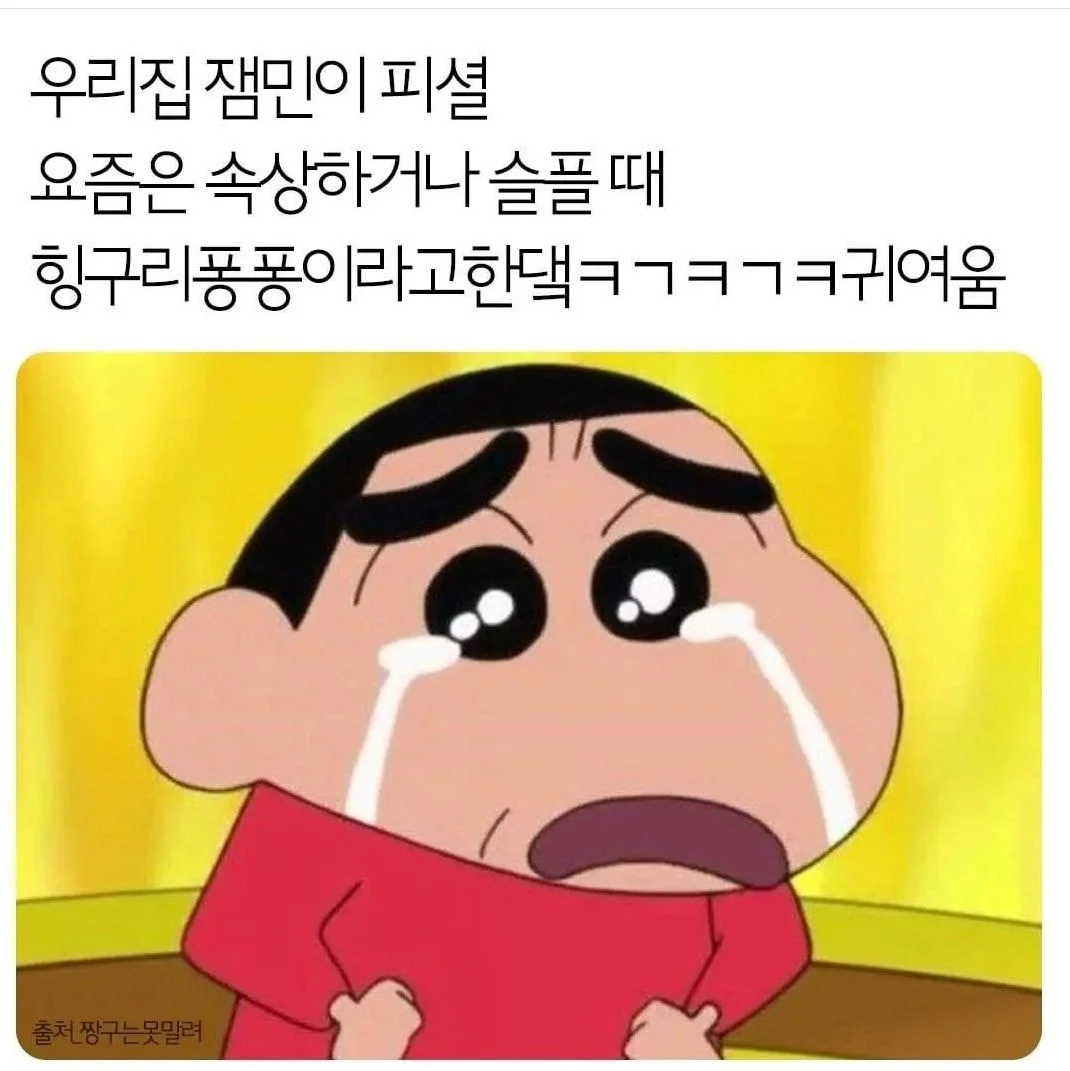 첨부 이미지