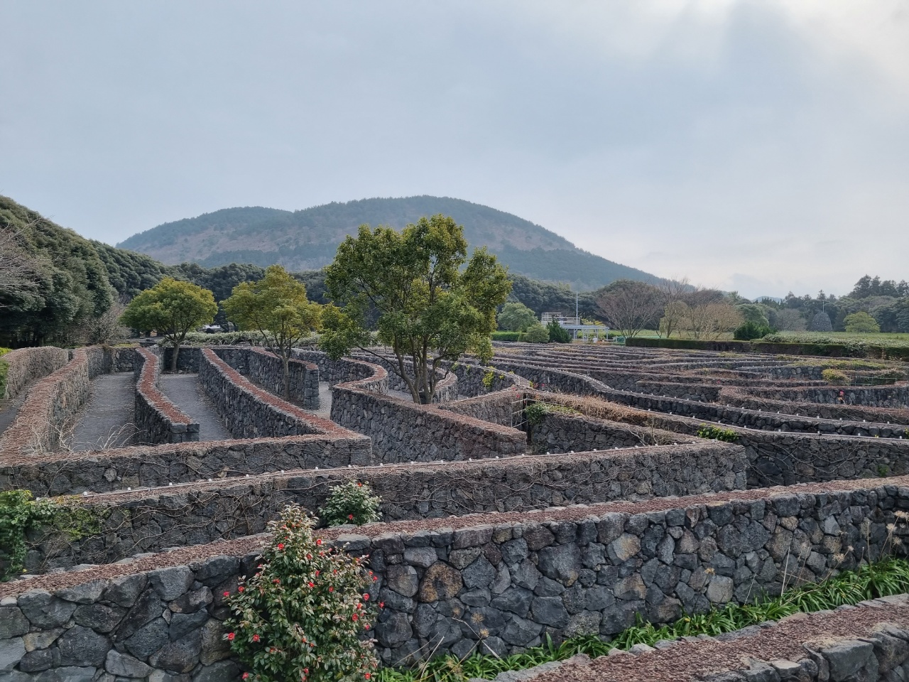수학여행 때나 올법한 곳을 다시 오다