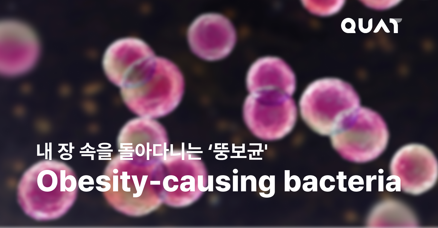 적게 먹어도 살찐다면 원인은 장 속 '뚱보균'의 썸네일 이미지