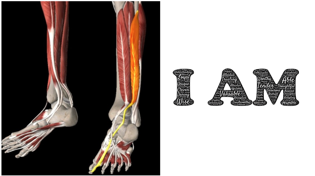 오늘 스트레칭한 근육(장무지굴근) & 제일 센데, 쉽게 허물어질 수도 있는 말 I AM