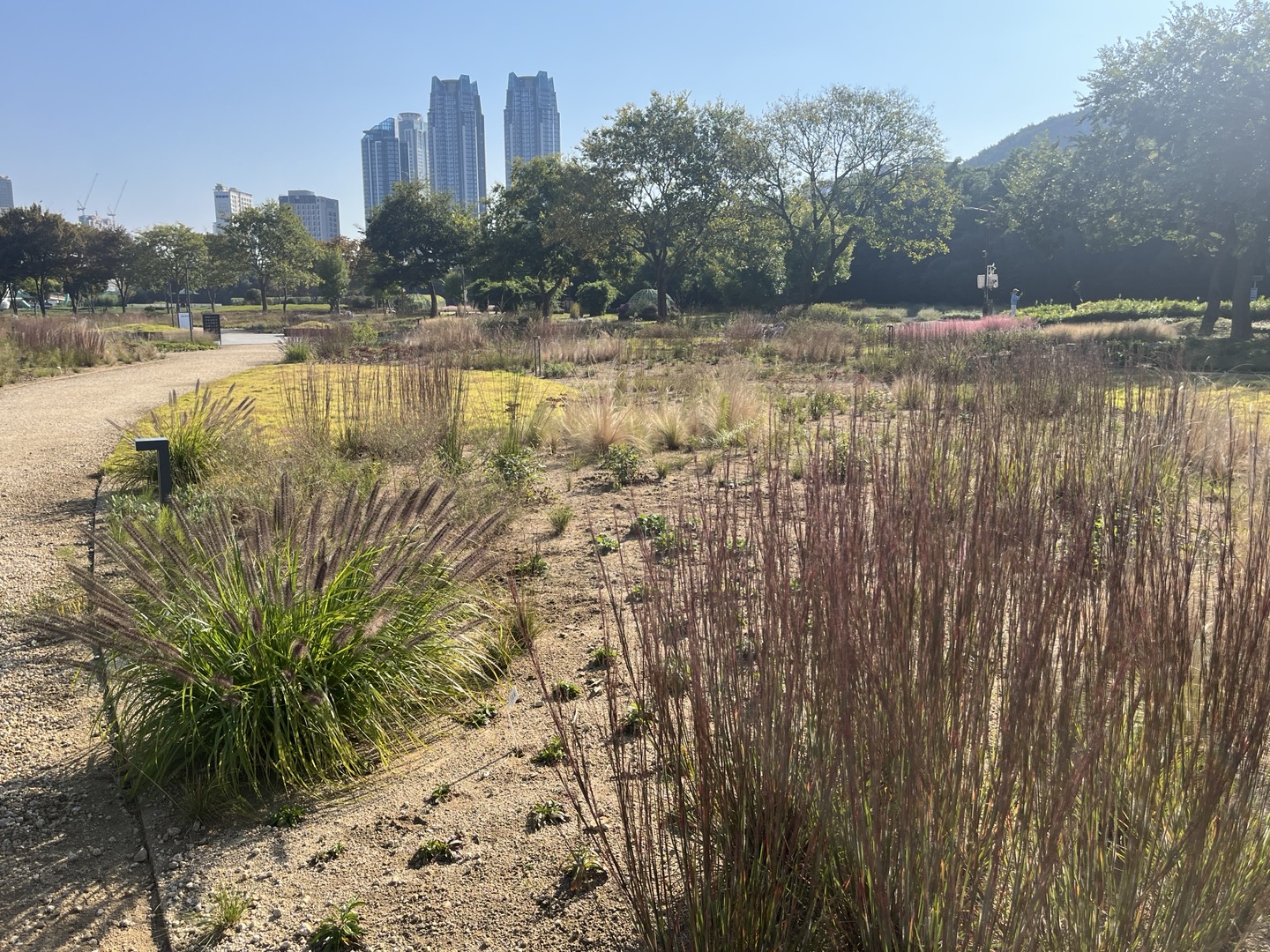 피트 아우돌프가 식재 디자인한 공간. 식물이 아직 너무 작고 어려 아쉬웠다.