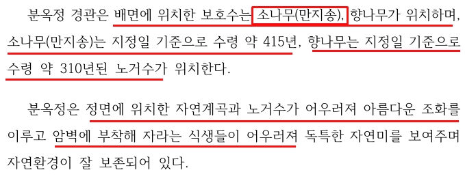 분옥정 보호수 관련 소나무와 만지송의 애매한 기록 2