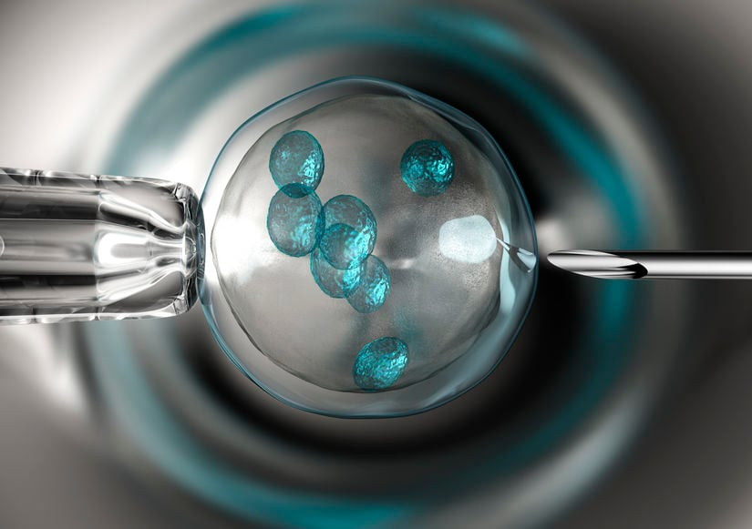 What Is In Vitro Maturation? IVM vs IVF - ReUnite Rx