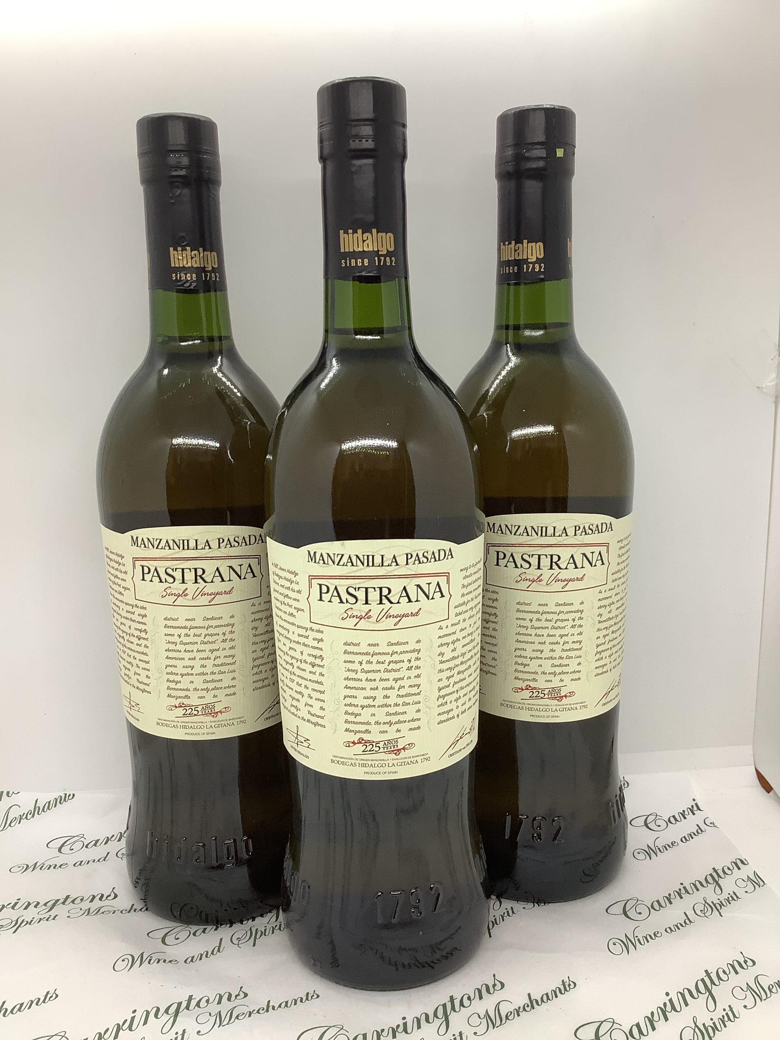 Hidalgo Manzanilla Pasada Pastrana