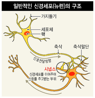 <출처 - 한겨레 신문>