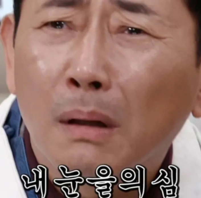 이미지 = 블로그 캡처(https://blog.naver.com/skokie2009/222714604838)