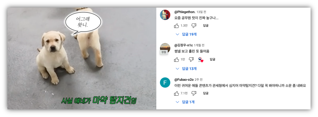 출처 : 유튜브 관세청 채널