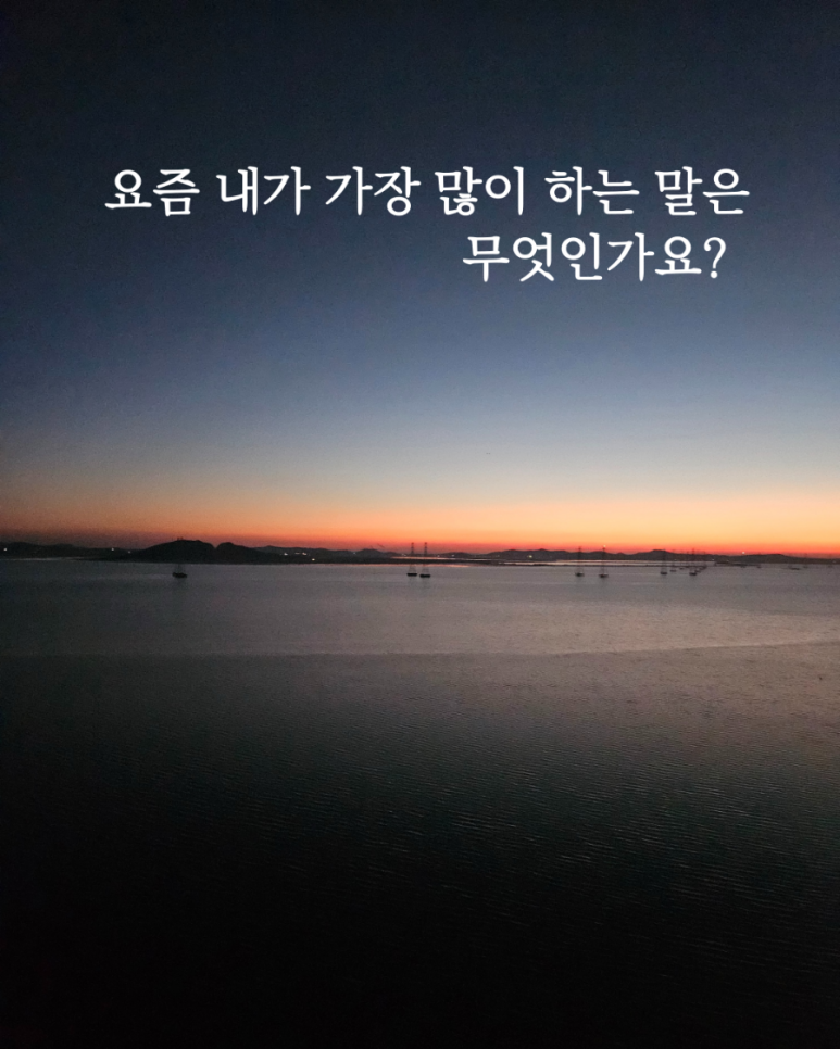 첨부 이미지