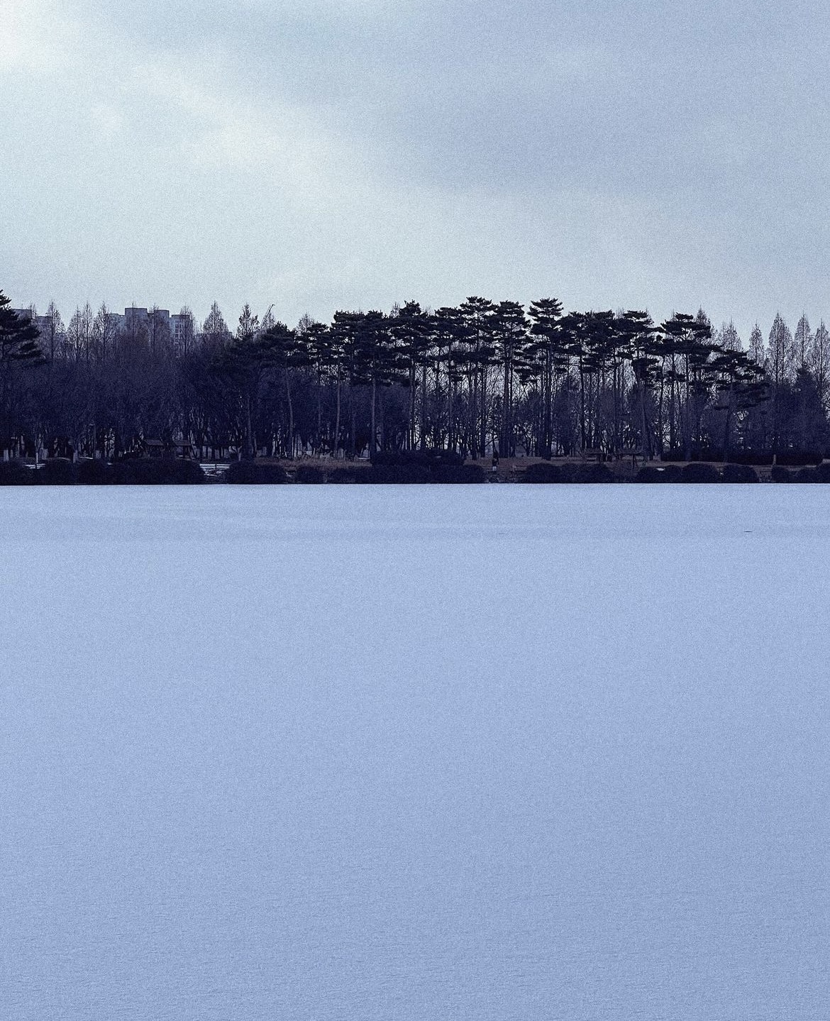 시작의 썸네일 이미지