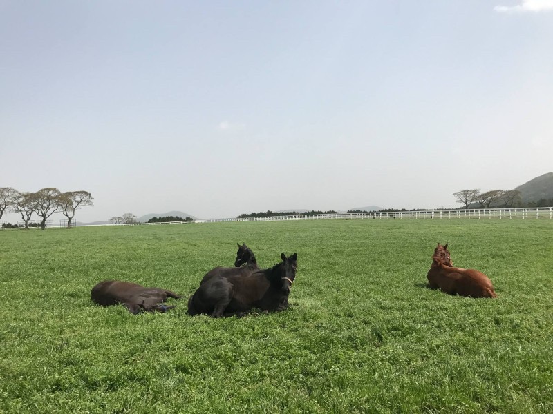 친구들 나 좀 잘께 