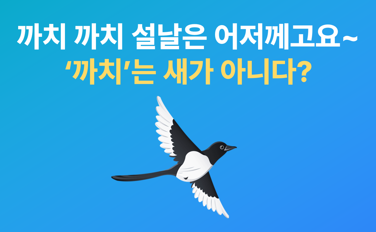 🌞 "까치 까치 설날은~에서 까치는 동물이 아니다?", 설날과 관련된 재밌는 이야기 5가지!의 썸네일 이미지