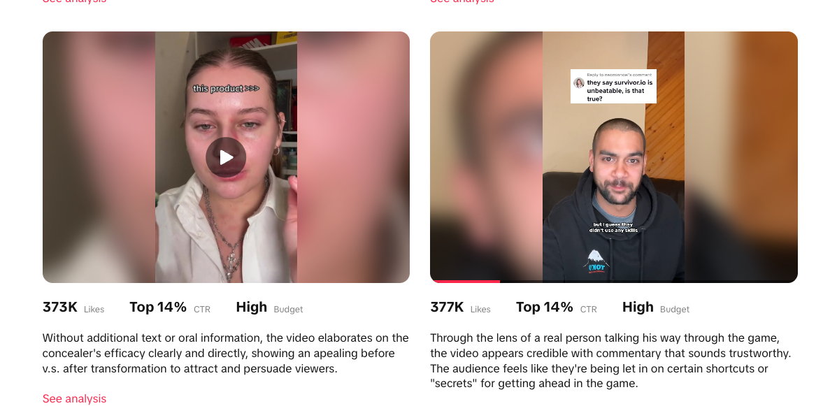 틱톡에서는 요즘 핫한 광고 포맷에 대한 정보를 제공한다 (Tiktok Top Ads Spotlight)