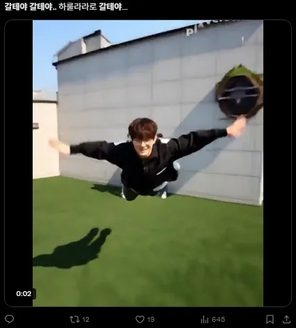 이미지 = X캡처 (https://x.com/nerdckdown/status/1954562867232936010)