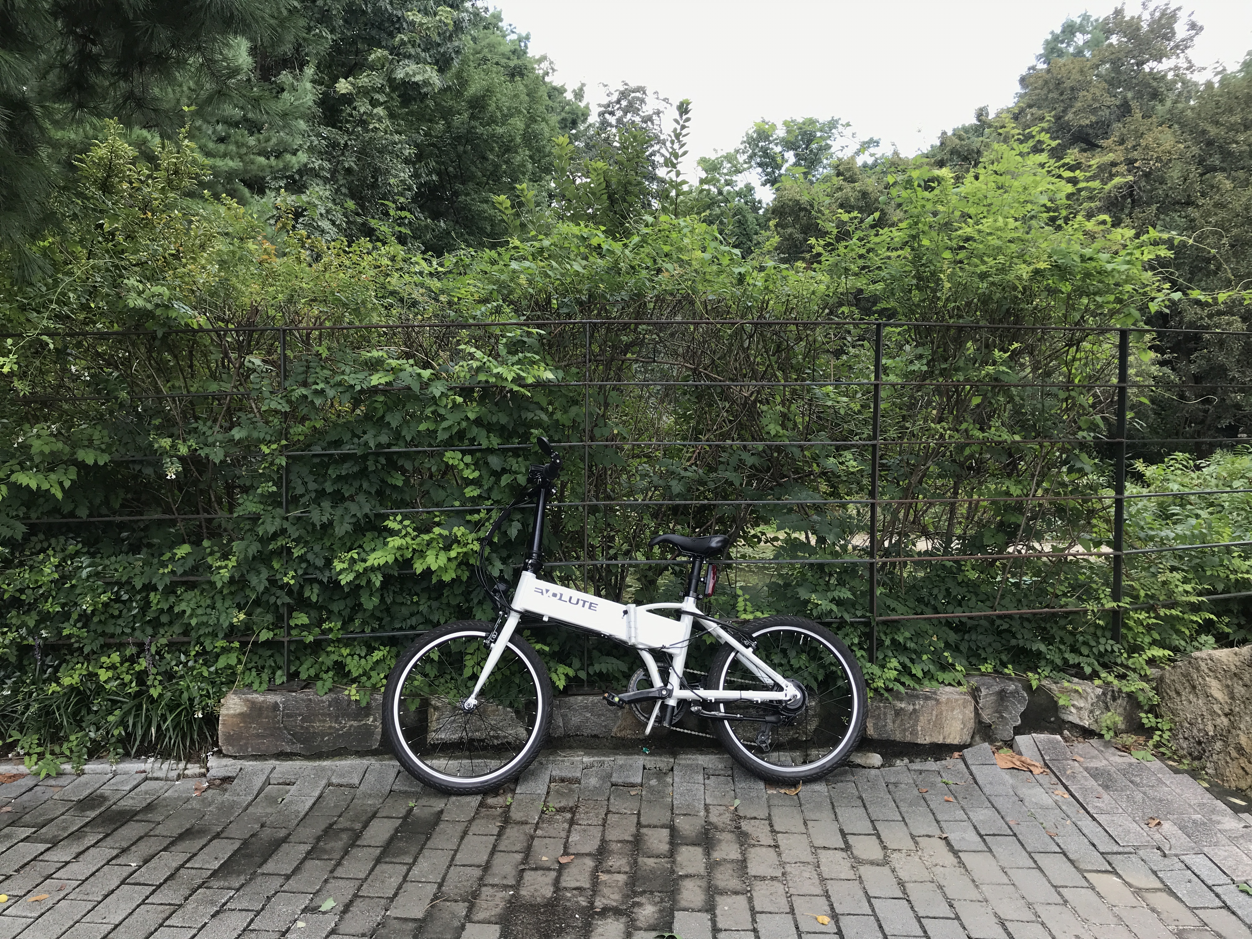 홍자 (별 뜻은 없어요. 그냥 '홍한나 자전거'의 줄임말)