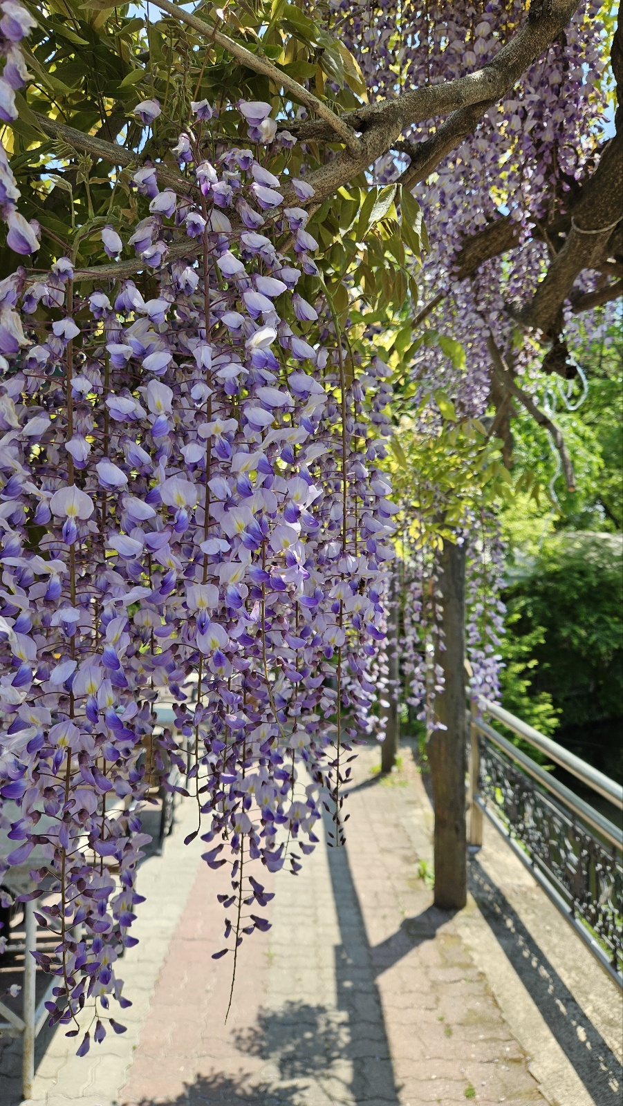 이 정도 풍경이면 갈비집 가야하지 않습니까? ㅎㅎ