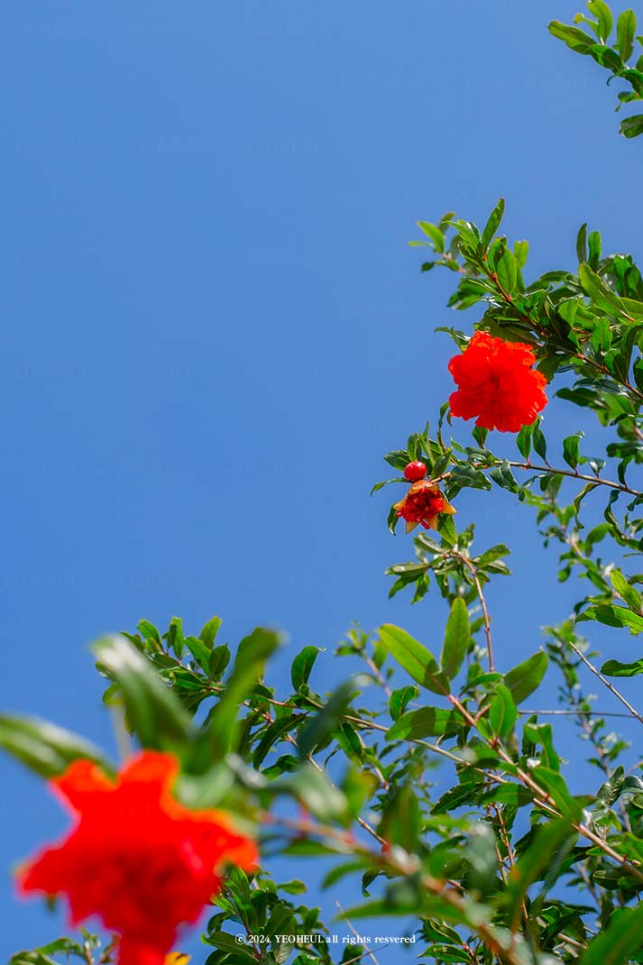 언젠가 내가 틀리지 않을 수 있을까요