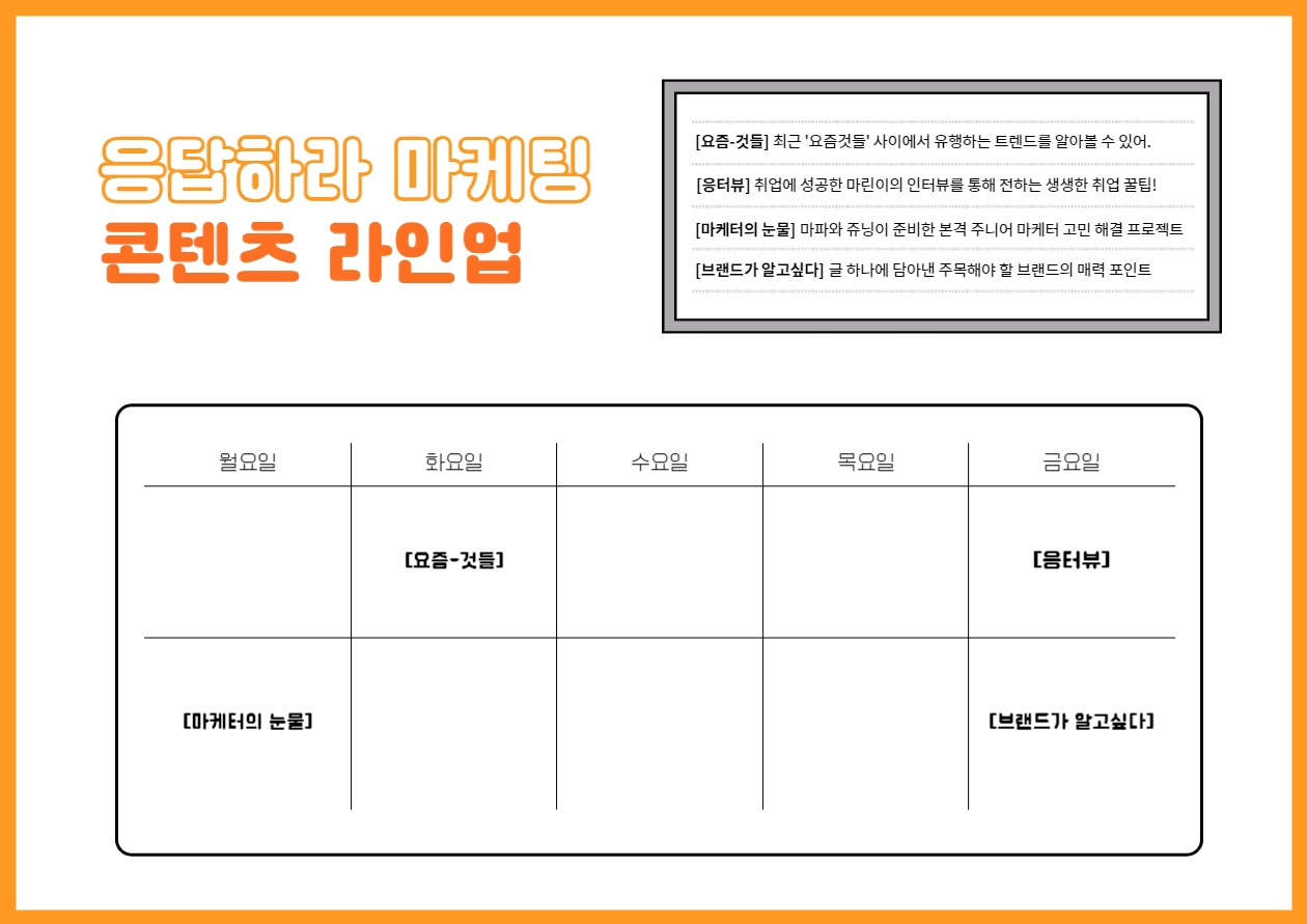 응답하라 마케팅 콘텐츠 라인업(1. 24 기준)