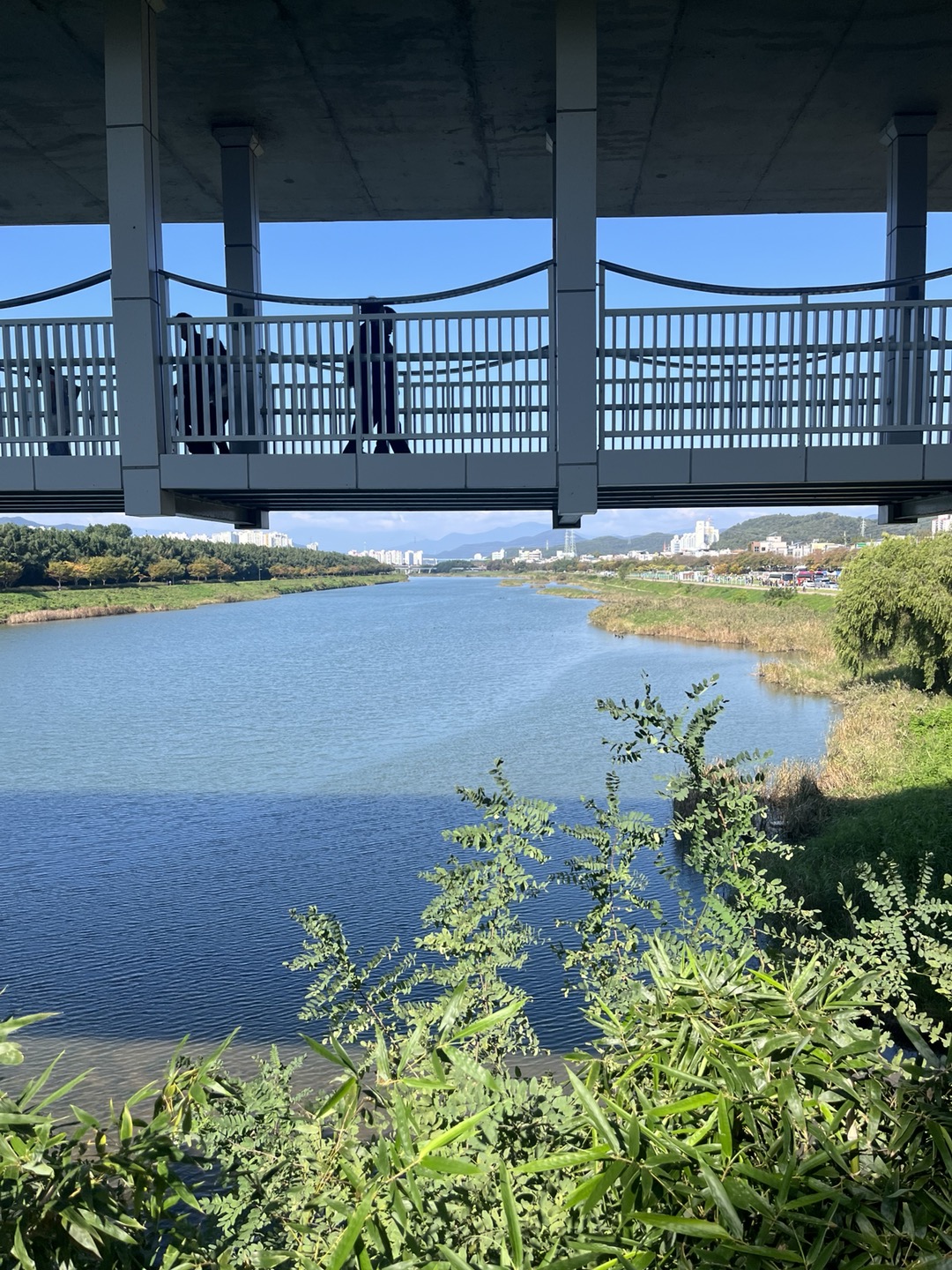 주변 환경을 적극 끌어들여 강과 도시, 정원이 하나로 어우러지는 태화강 국가정원