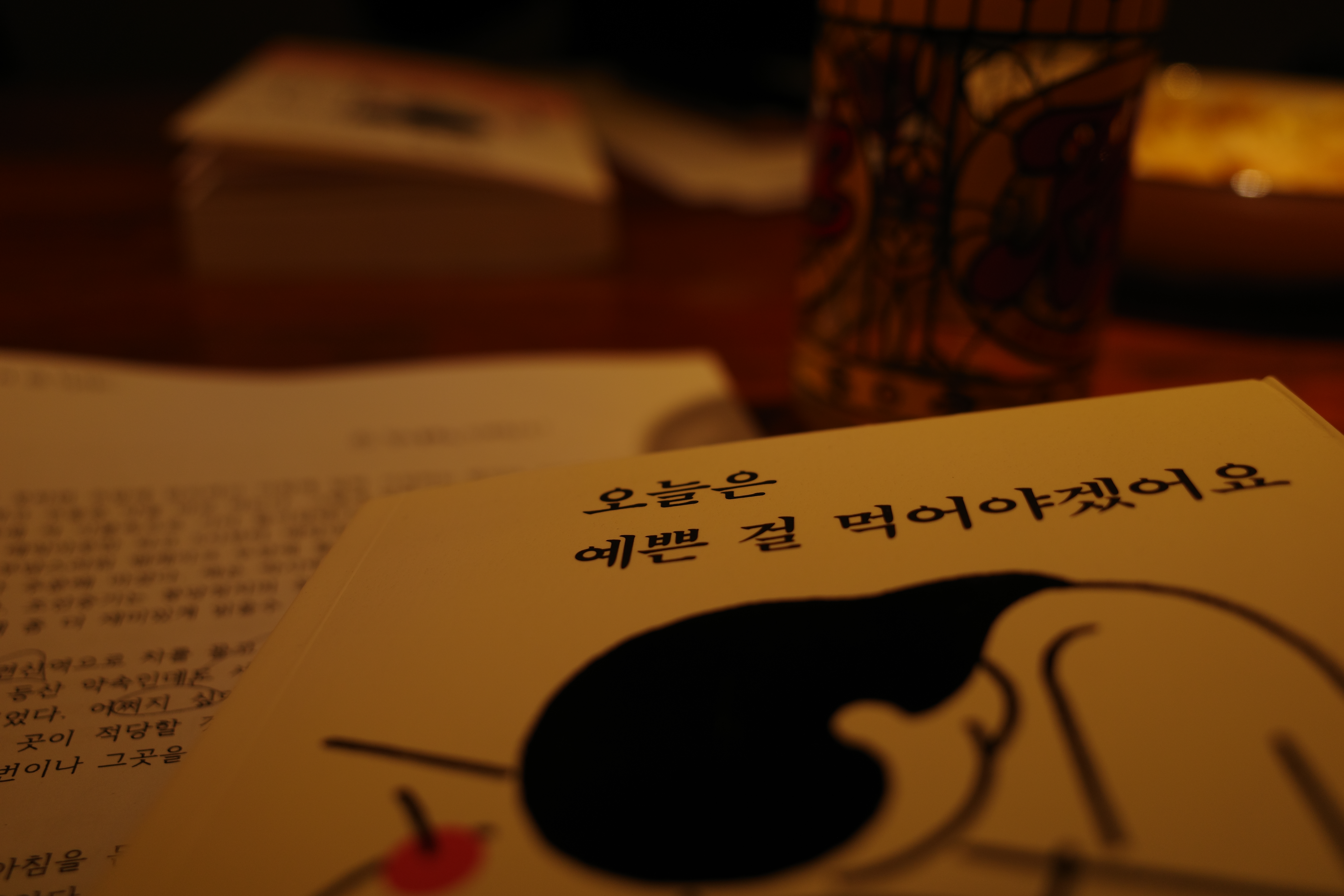 다음 시간엔 박서련 작가의 일기를 읽었어요