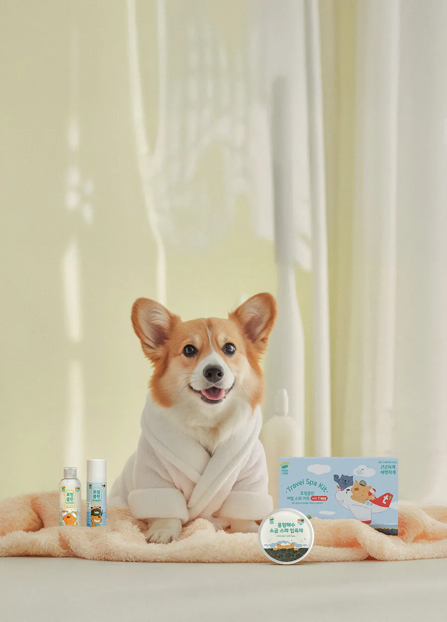 출처 : 티웨이항공