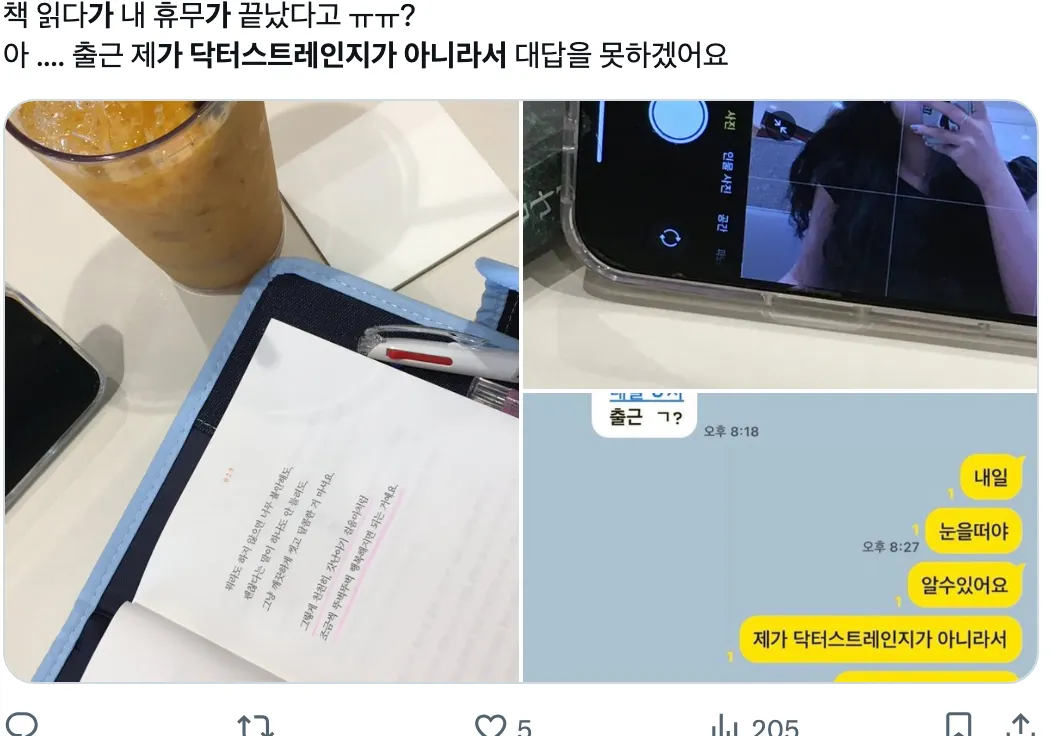 이미지 = X 캡처 (https://x.com/apricity0_0/status/1939360197824421946)