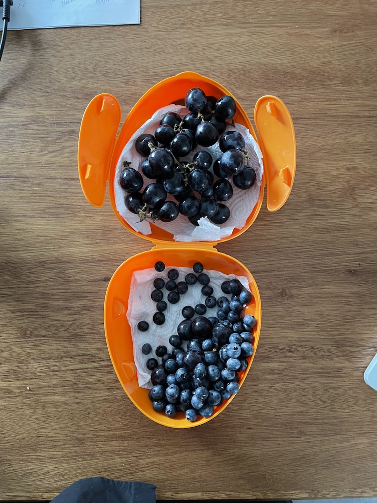 블루라이트에 시달린 나의 안구를 위해: 항산화