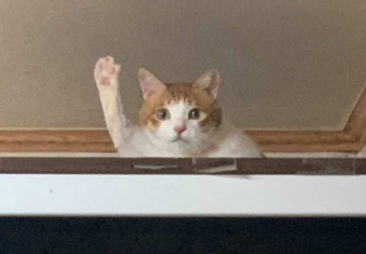 자 여러뿐 제 핸드폰이 바로 제 손에 있습니다~~~!!!