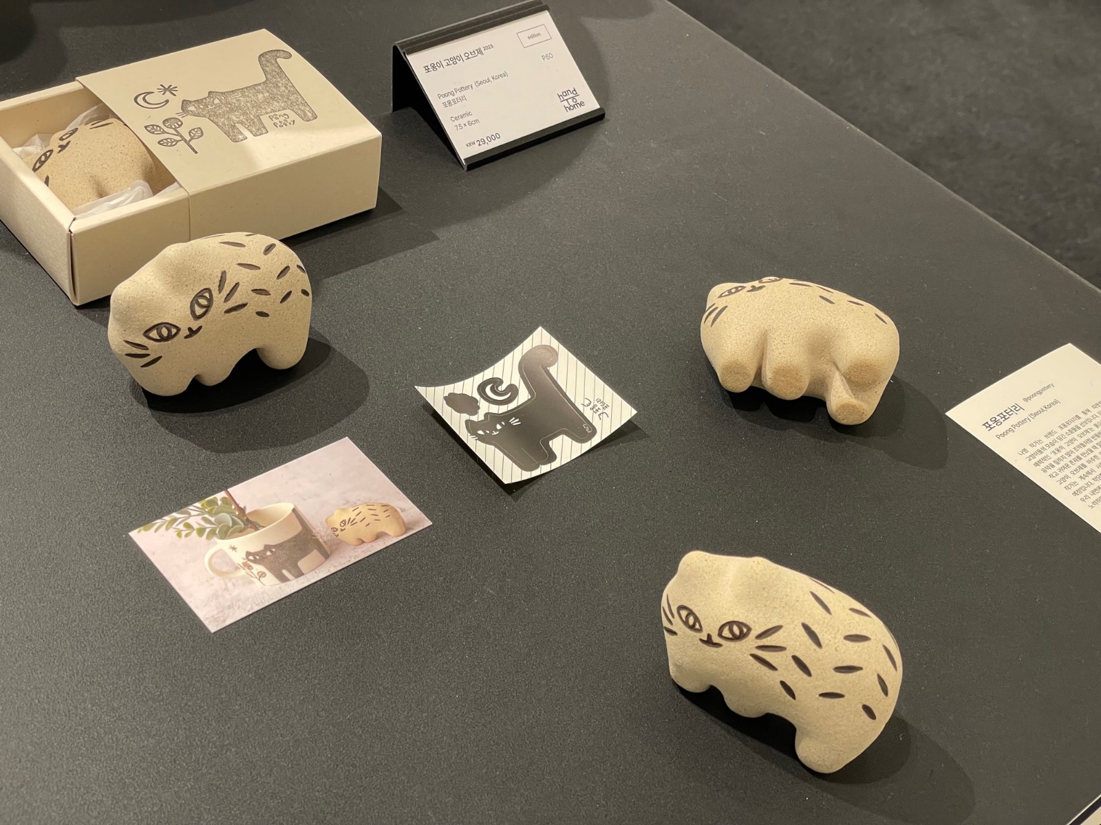 포옹포터리의 고양이들 ⓒ차영우