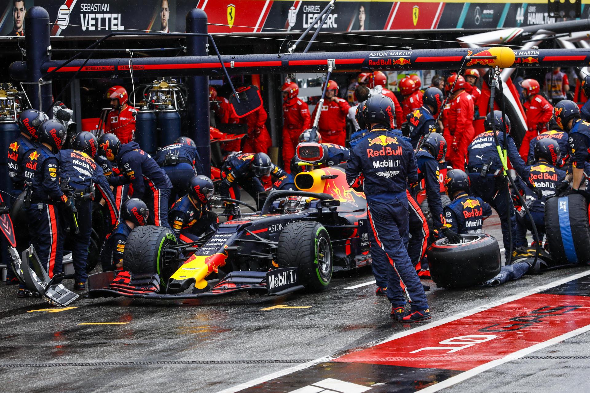 복작복작한 피트