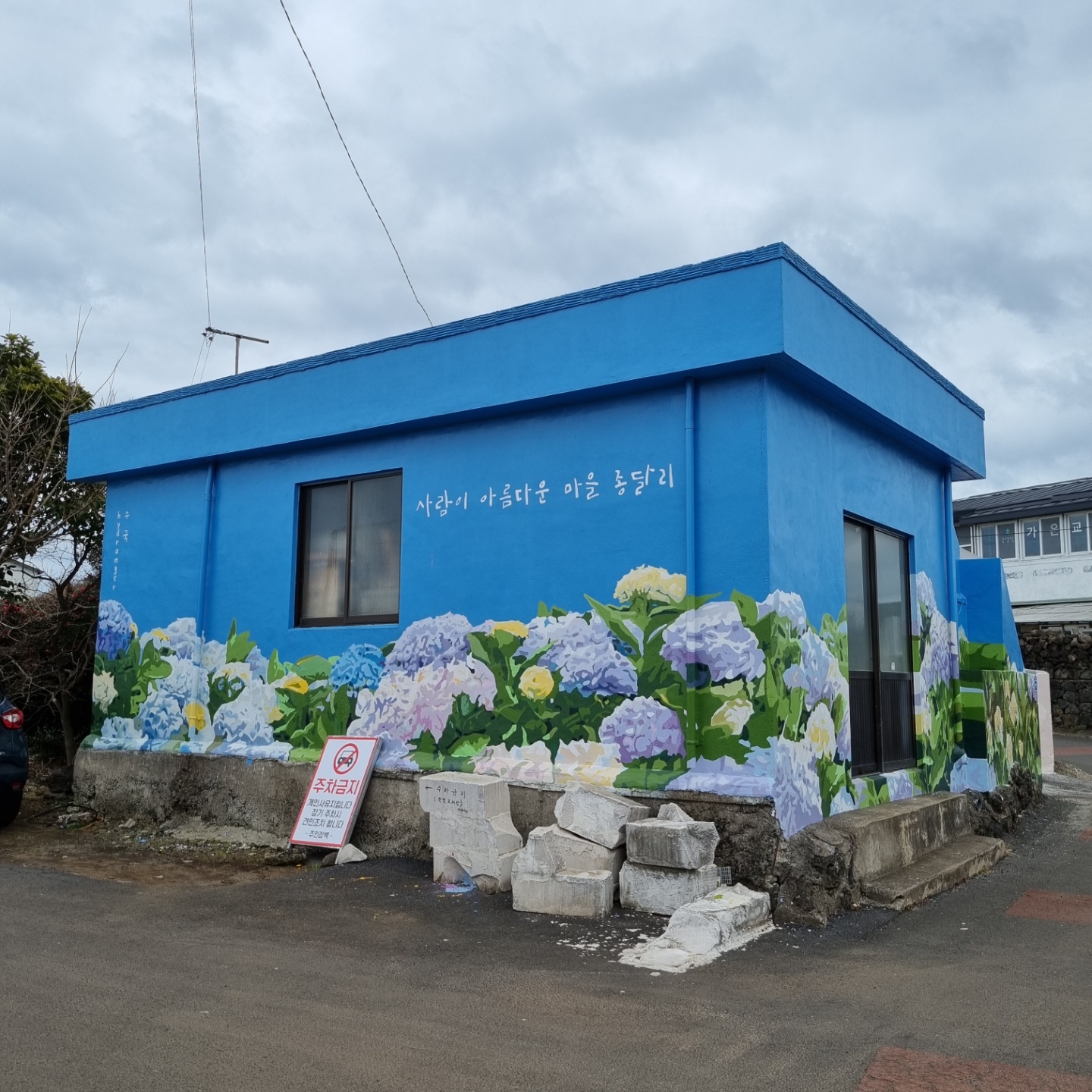 가장 예뻤던 수국 벽화