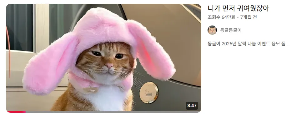 [출처: 동글동글이] 