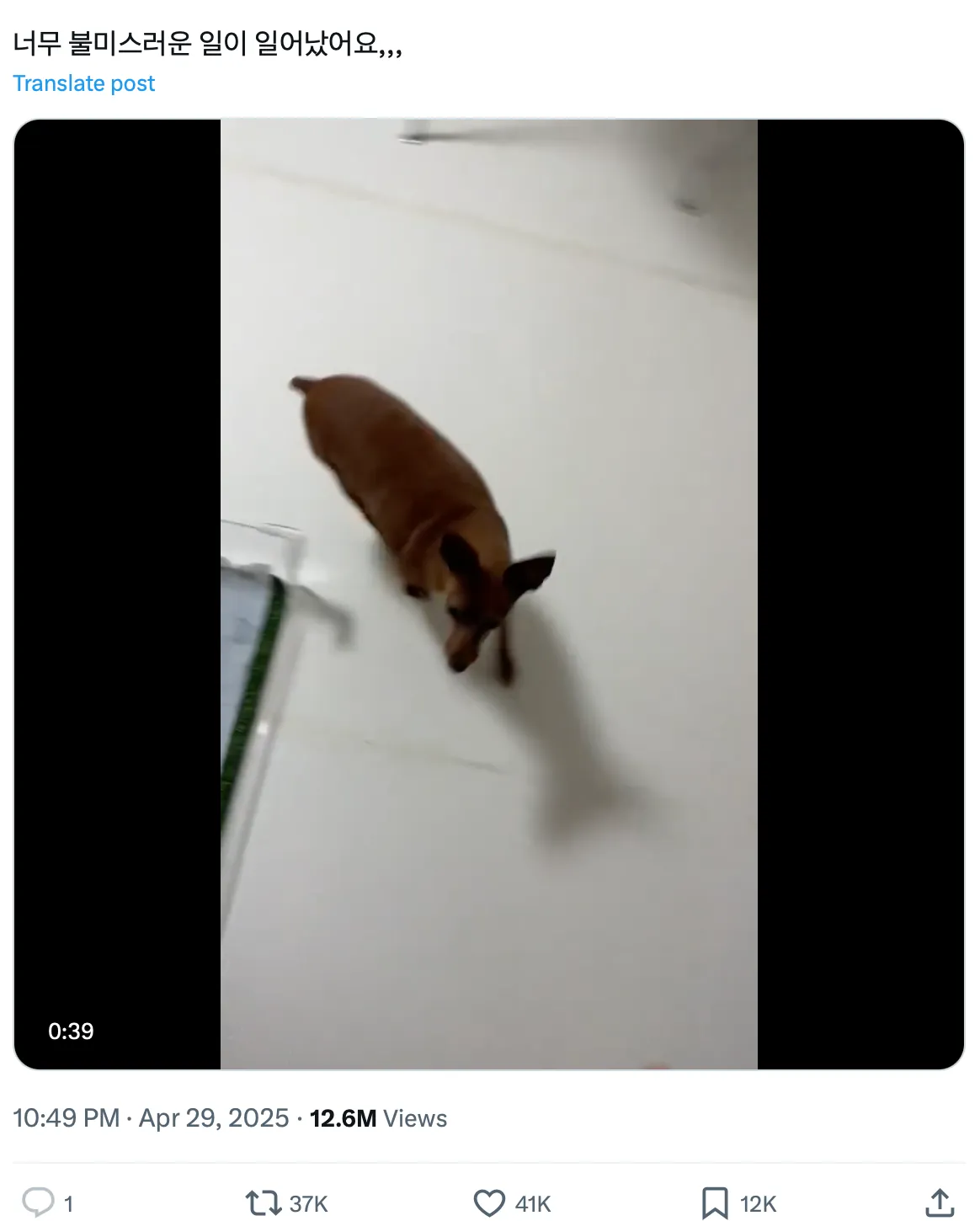 이미지 = X 캡처 (https://x.com/daechusz/status/1917214744488083928)