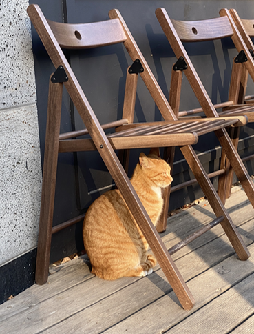 지난 봄, 힘든 하루를 보내고 찾은 카페에서 만난엉뚱하지만 확실한 위로