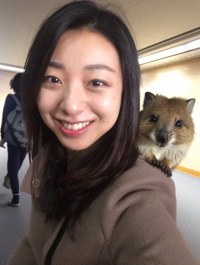 프롬프트: a pretty korean girl traveling with Quokkas