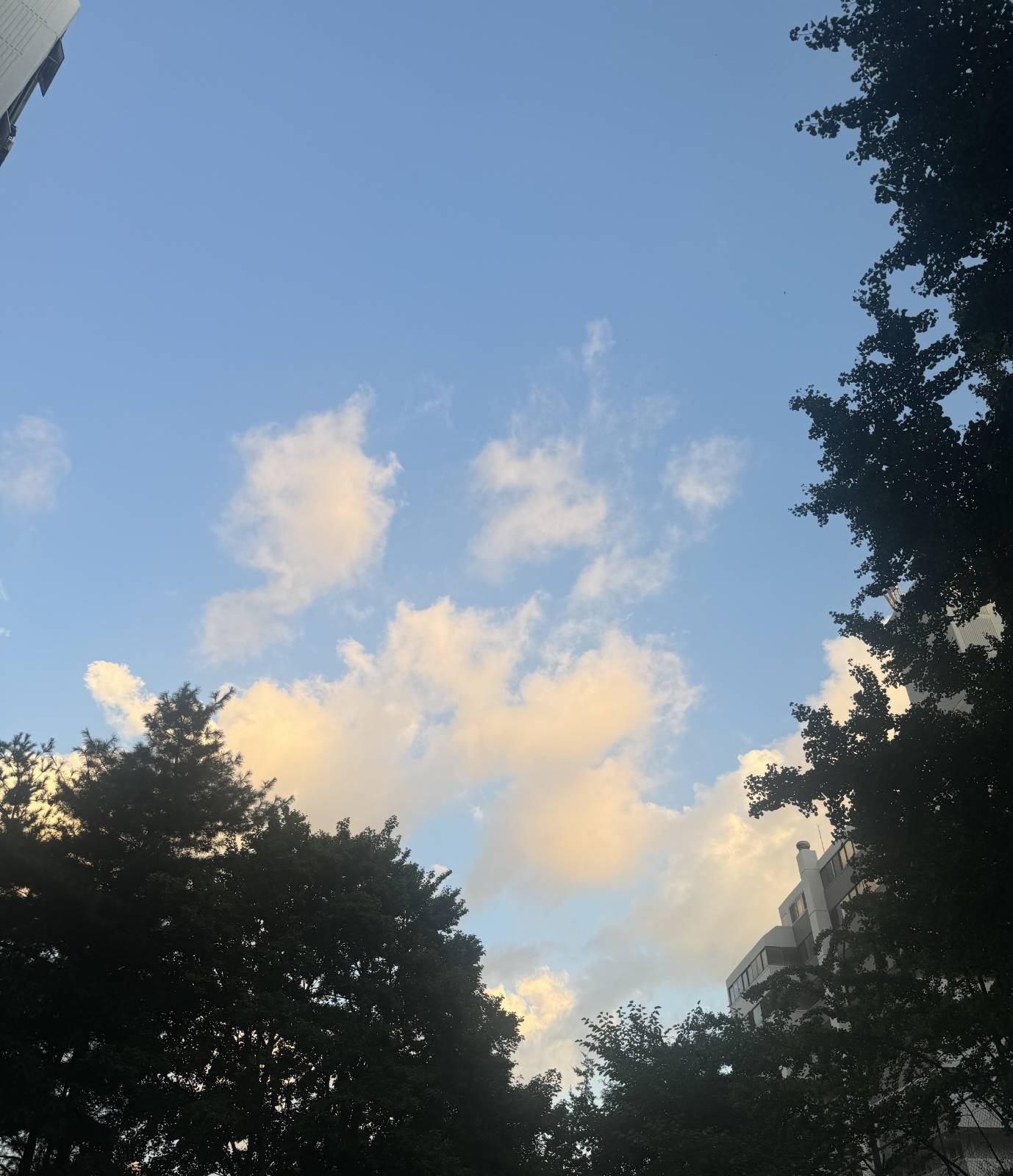 퇴근길에 우연히 본 맑은 하늘 사진을 첨부합니다 ⛅