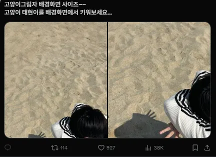 이미지 = X캡처 (https://x.com/witthhS2/status/1922562621682720871)