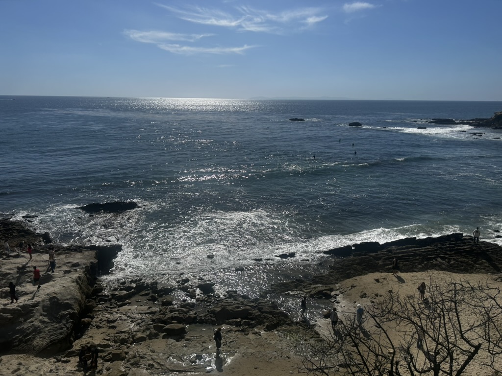 눈떠보니 수요일 밤 8시. 앗!의 썸네일 이미지