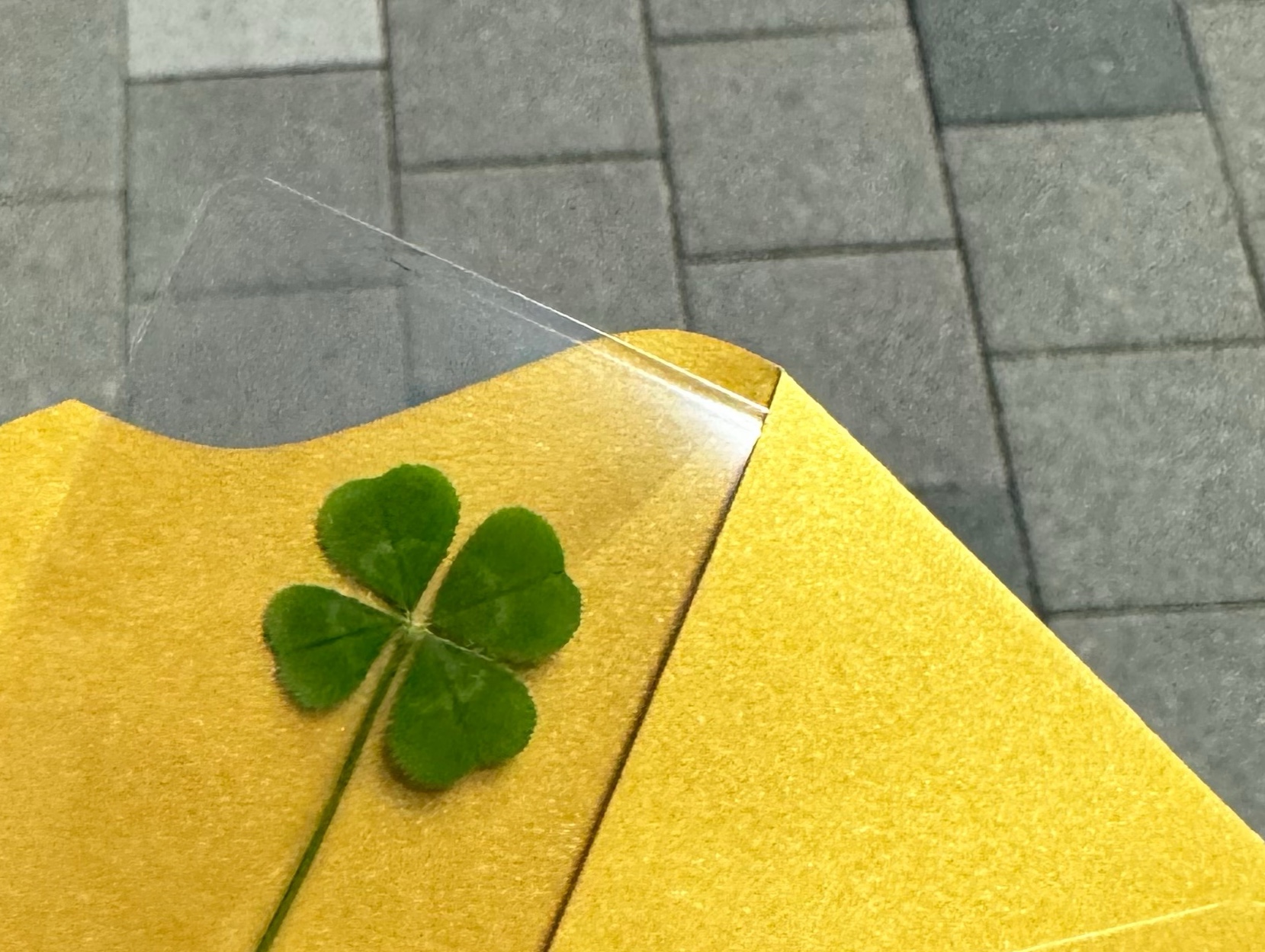 쫄쫄보의 유서의 썸네일 이미지