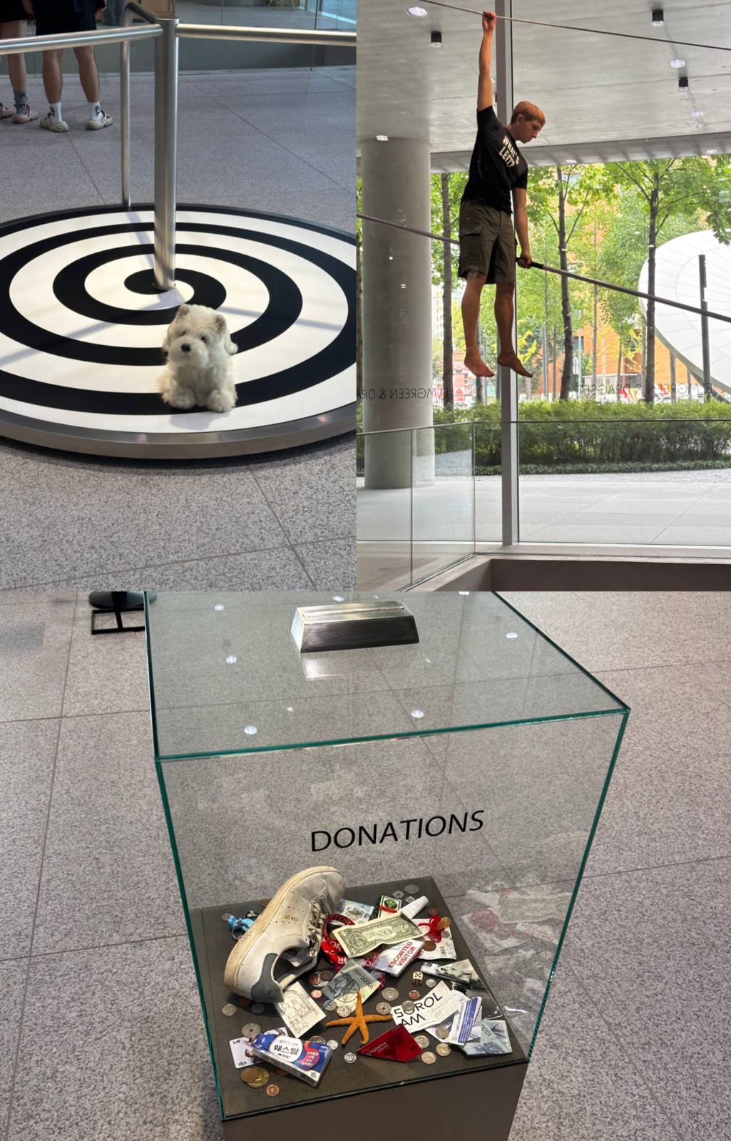 Social Media(Terrier), 2022 (Brushed stainless steel, lacquer, motor, resin and faux-fur) / What’s Left?, 2021 (Silicone, clothing, wire rope, balancing pole) / Donation Box, 2006 (Glass, stainless steel, various objects) ⓒ아무콘텐츠