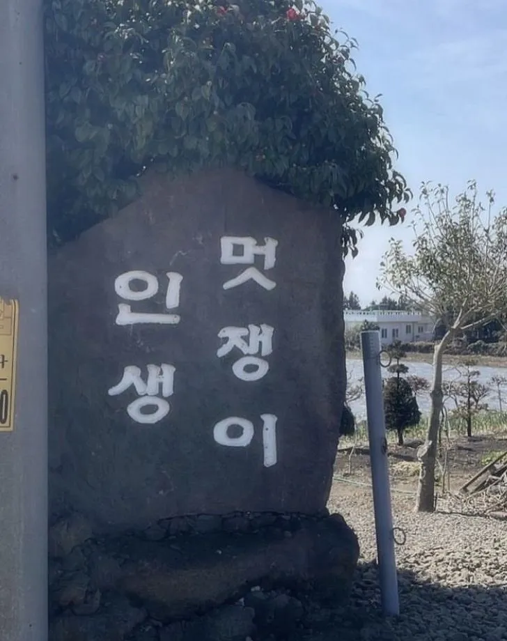 이미지 = X 캡처 (hhttps://x.com/mor_ebooks/status/1939498939524530292)