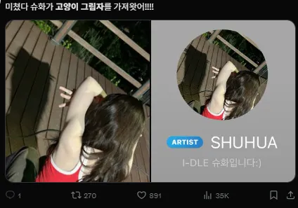 이미지 = X캡처 (https://x.com/shuuhuashuu/status/1922728632742527455)