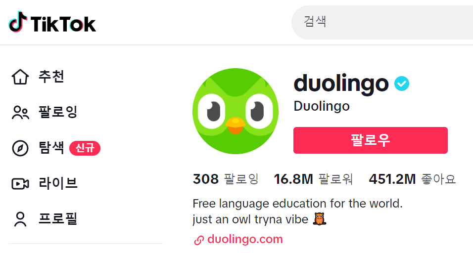 duolingo 공식 틱톡계정의 프로필 화면. 귀여운 부엉이와 귀엽지 않은 팔로워, 좋아요 수