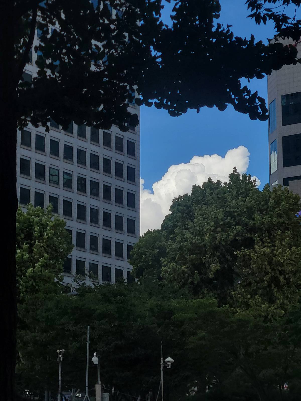 닮고 싶고, 담고 싶은 일👀의 썸네일 이미지