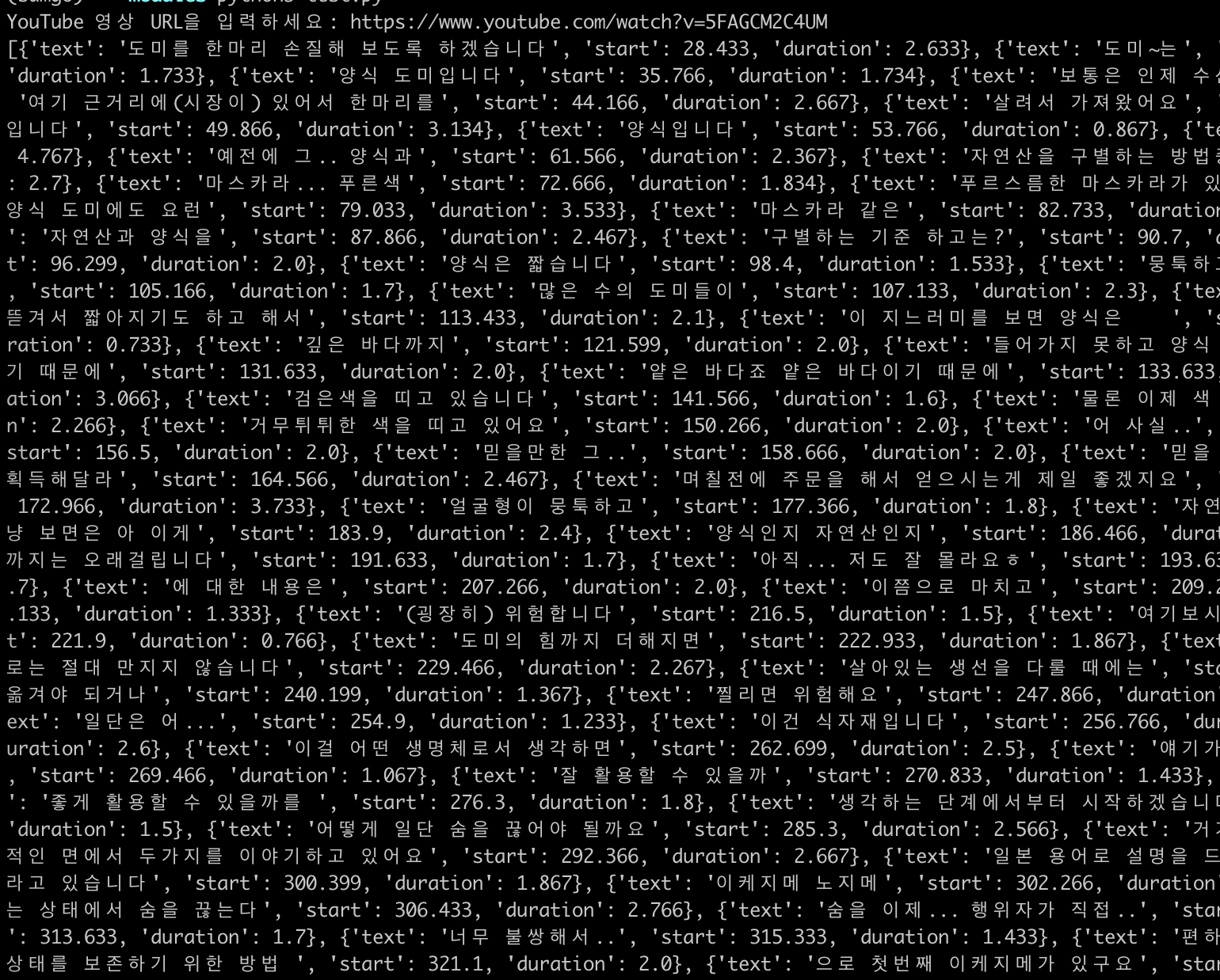 Youtube 자막 추출 결과